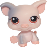 #0259 Pig
